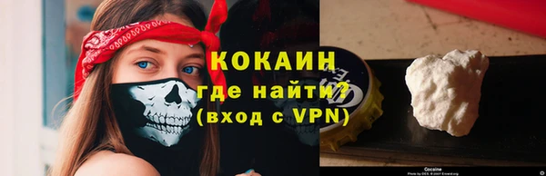 прущие грибы Няндома