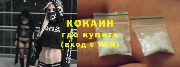 прущие грибы Няндома