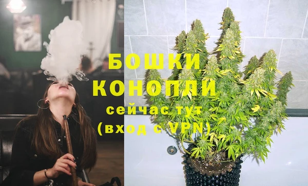 спиды Новодвинск