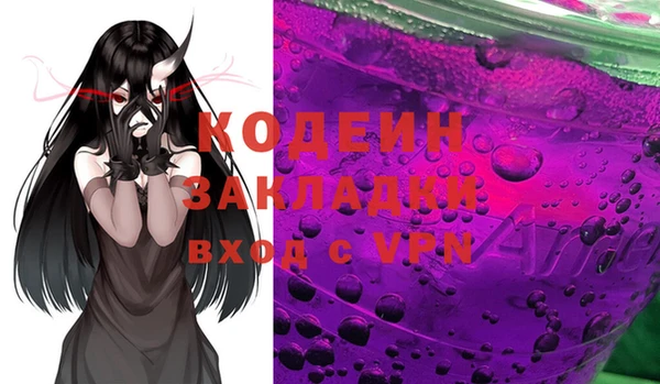 прущие грибы Няндома