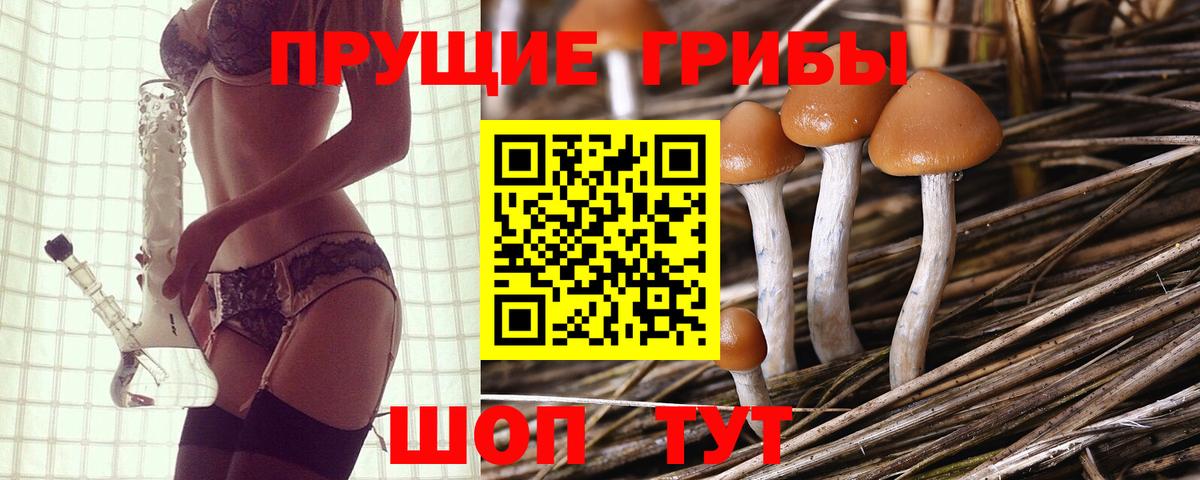Галлюциногенные грибы мухоморы  Вход с VPN  Галлюциногенные грибы GOLDEN TEACHER  Жуковский 