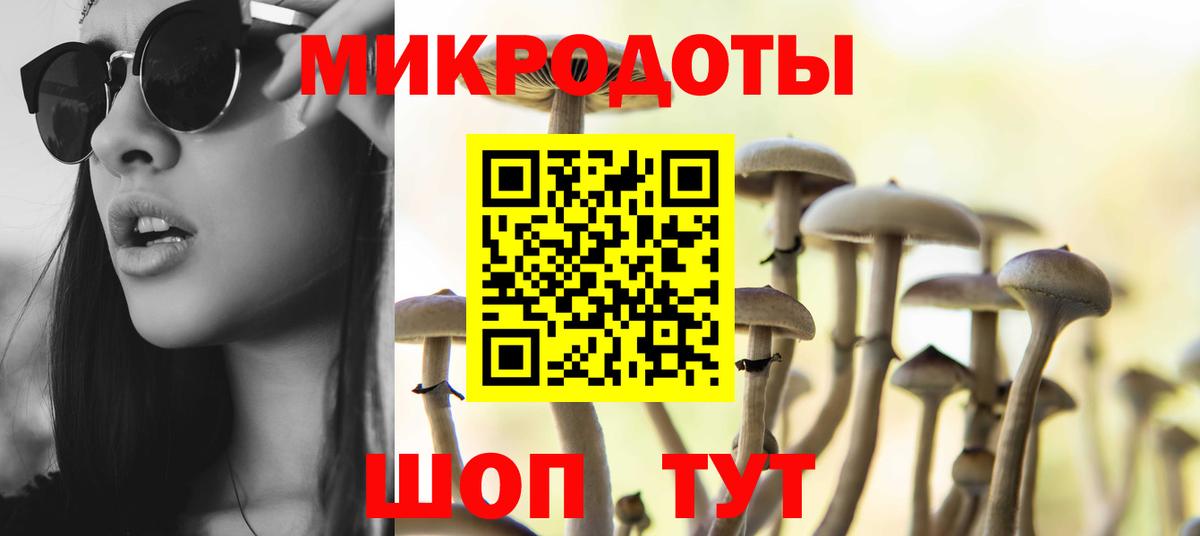Псилоцибиновые грибы Psilocybe Жуковский